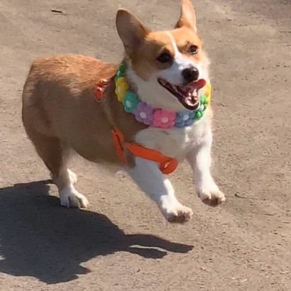 ji4047901830837's profile picture. 