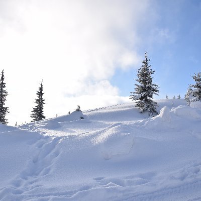 easyprofit39034's profile picture. 