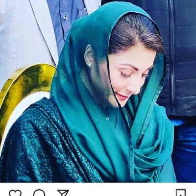 voter & lover pml n