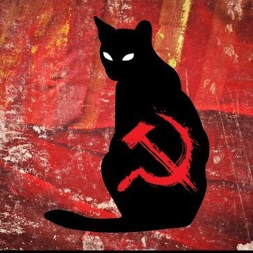 🇵🇸 Just a socialist who loves cats☭ 🍃💚🍃 Profile