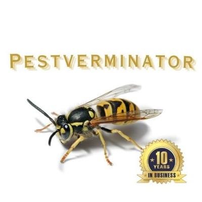 pest_controlled's profile picture. Pest control covering the West Midlands.