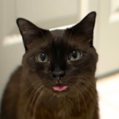 CocoDeMer_271's profile picture. 