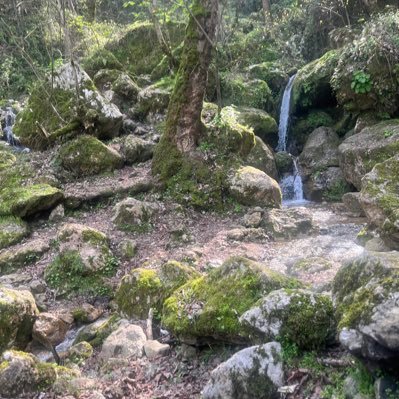 5795_fa's profile picture. 