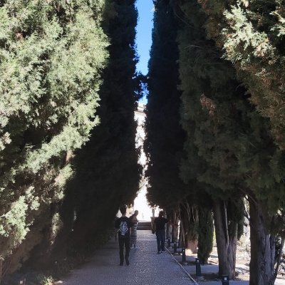 Gabriel31921's profile picture. Llegará el día