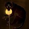 bozkurtonur661's profile picture. 