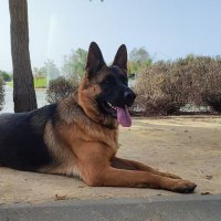 Rubén (@rbnojeda) 's Twitter Profile Photo