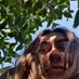 Cate (@wigsbysimon) Twitter profile photo Cate (@wigsbysimon) Twitter profile photo