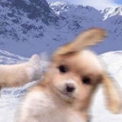 xxlolxx15597924's profile picture. 