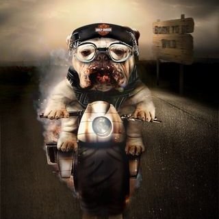 slotmgbr's profile picture. 