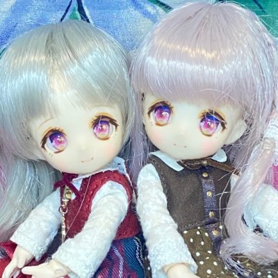 姫りんご🍎新アカウントもよろしく✨ (@himeringohouse) / X 姫りんご🍎新アカウントもよろしく✨ (@himeringohouse) / X