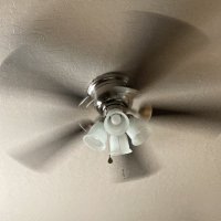 Darren Mangisi (@darrenmangisi) 's Twitter Profile Photo