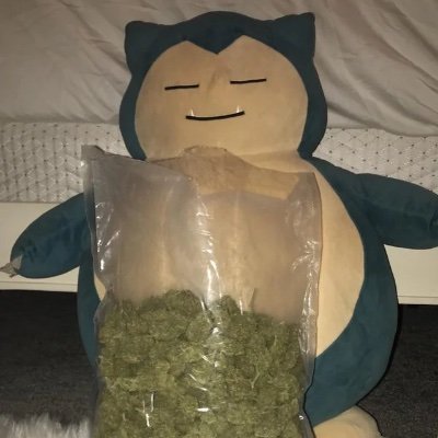 deadsnorlax1 Profile Picture