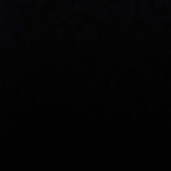 TopMFer's profile picture. 🚨 THE Top Mother Fucker❗️🚀 💯  
#TopMFer❗️