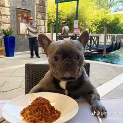 snacckss's profile picture. i go to sleep in the vip