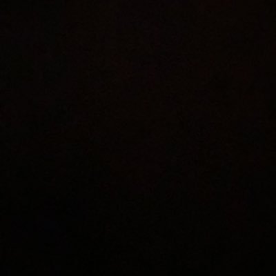 Pitter9555's profile picture. 