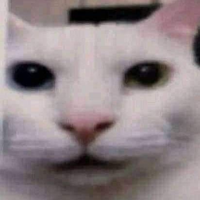 Dambonito's profile picture. 