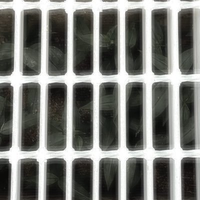 luce304578's profile picture. 前アカ→(@Luce37074253) ____________春と夏と秋と冬が嫌いです ＠ステッカー収集家