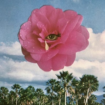 tastyblade69's profile picture. idk