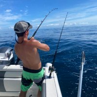 kb (@primitive_va) 's Twitter Profile