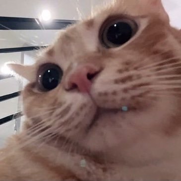 Juneeesss's profile picture. 