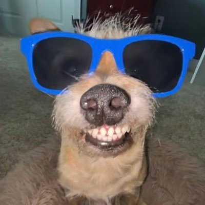 HimUebr62586's profile picture. 