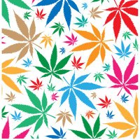 420 accessories(@kelso752978271) 's Twitter Profile Photo