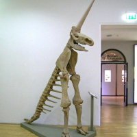 Riley (@odetomyday) 's Twitter Profile