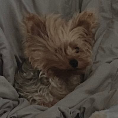 Koiinano's profile picture. Think Twice