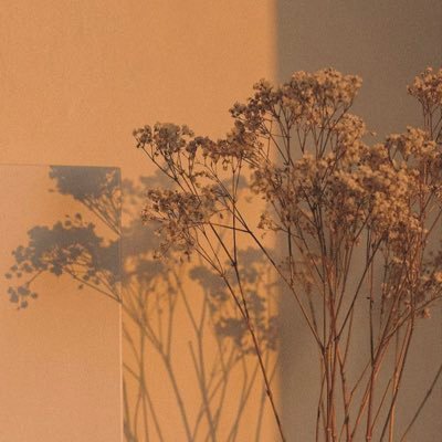 3ilily's profile picture. انسانه مزاجيه بشكل مفرط