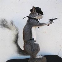 Danny ElPaso (@dannyelpaso) 's Twitter Profile