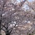 雪 (@__oxo_ovo_) Twitter profile photo 雪 (@__oxo_ovo_) Twitter profile photo