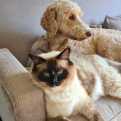 scottpwalker1's profile picture. me