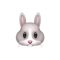 クリキン プロテイン17時 (@kurikin_part2) 's Twitter Profile