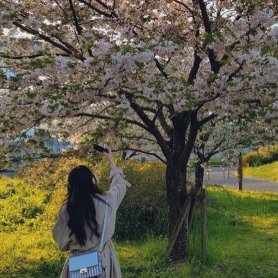 日通 法 政経2年20(04)🩵ྀི