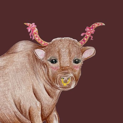 PrettyBullProd's profile picture. IG: @prettybullproductions 🇦🇺 videographer and photographer