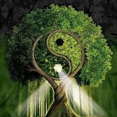 Laila5413's profile picture. 