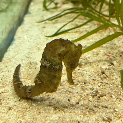 tatsu5566644641's profile picture. ありがとう