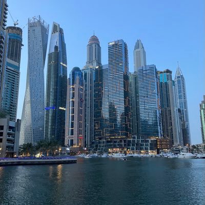 sollandtrading's profile picture. 