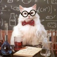 Dr. Meow ♀️ (@meowmeowphd) 's Twitter Profile