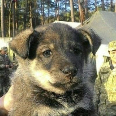 Текстовий рольовик зі стажем у шість років || Пишу, придумую лор, персонажів, історію на замовлення