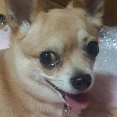 shmjh2161's profile picture. 