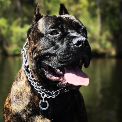 murtoe78's profile picture. As usual