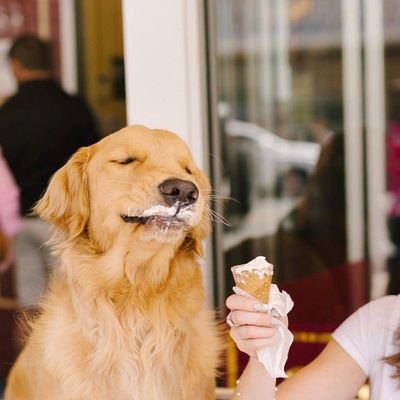 _mouthhh's profile picture. visual diary: everything is in fluxxx⏳️