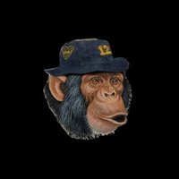 Monkey Bets ⚽ (@monkey_apuestas) 's Twitter Profile