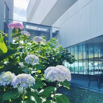 大阪医科薬科大学 薬学部旅行写真部です どっか行きます!めっちゃ撮ります! よろしくおねがいします