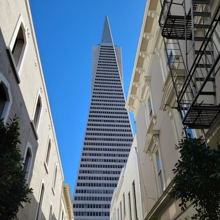 CapriSanzio's profile picture. Founder & co-owner of SF Killer Crime Tours. Love all things true crime, San Francisco, and caffeine related. (Fictional character created by @m_m_chouinard)