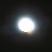 Fuzzy Logic (@leptonhadrons) 's Twitter Profile Photo Fuzzy Logic (@leptonhadrons) 's Twitter Profile Photo