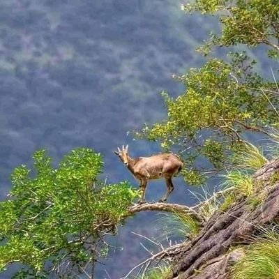 RajveerKasanaa's profile picture. 