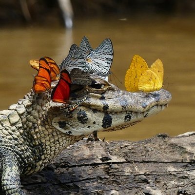 zendaman2006's profile picture. twitter初心者です。いろいろ間違ってしまうかもしれませんが、よろしくお願いします。