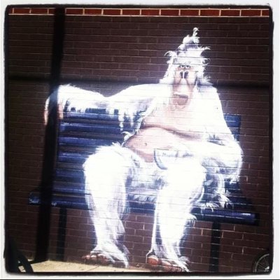 BabbleOnShow's profile picture. 